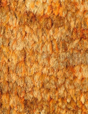 Tapete Tapetes Abrash Re-Hemp