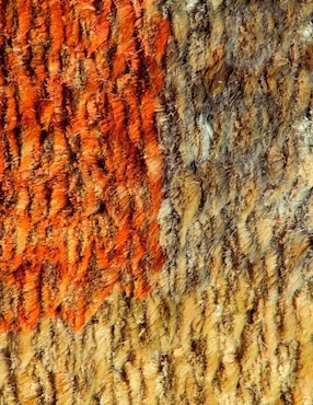 Tapete Tapetes Abrash Re-Hemp